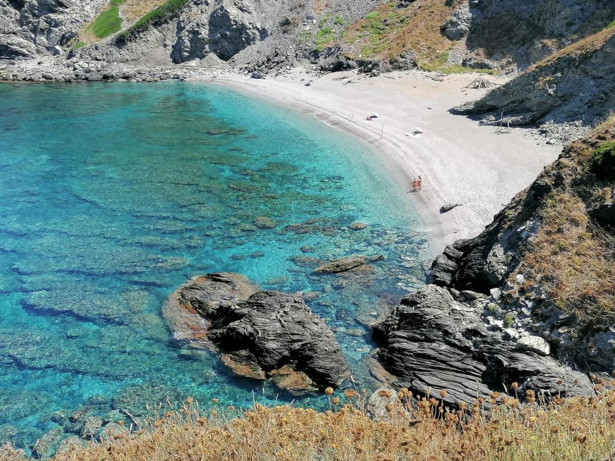 Palmadula Le Palme Holidays מראה חיצוני תמונה